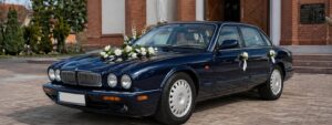 jaguar1